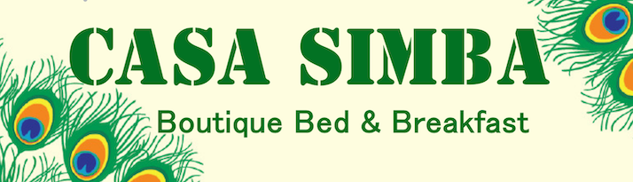 Casa Simba Estepona